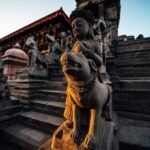 pexels-ding-lei-2386439-4028819